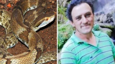 Pastor da Igreja Deus é Amor morre após picada de cobra