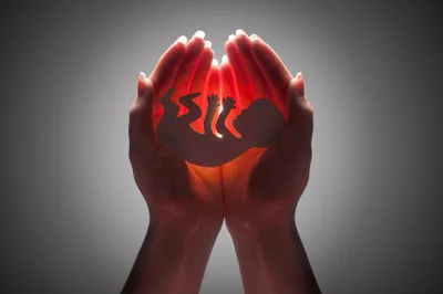 Uso de pílulas faz crescer o número de abortos nos EUA
