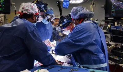 Coração de porco transplantado em homem estava infectado