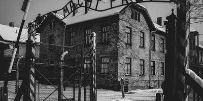 1 em cada 5 brasileiros nunca ouviu falar do Holocausto, aponta pesquisa