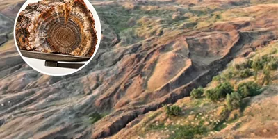 Pesquisa sobre Arca de Noé encontra material que pode ser madeira petrificada