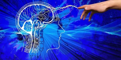 ‘Deus existe. Deus existe no cérebro’, afirma o neuropsicólogo Jordan Grafman