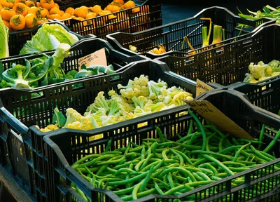 Organização cristã alerta para fome crescente no Reino Unido