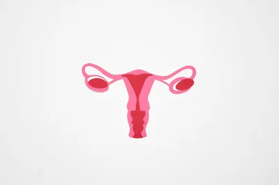 Endometriose: especialista explica os tratamentos da doença