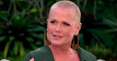 Assembleia Legislativa do RJ publica repúdio ao livro LGBT infantil de Xuxa