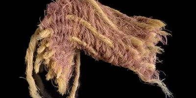 Arqueólogos descobrem tecido de 3 mil anos, que pode ter sido usado pelo Rei Salomão