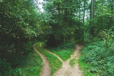 Por onde eu andar