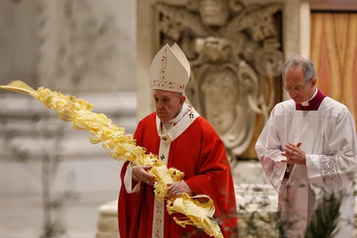 Full text: Pope Francis’ homily for Palm Sunday