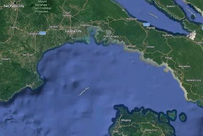 Quezon fish kill sparks calls to probe coal plants, industrial pollution in Tayabas Bay