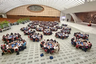 Vatican synod study group warns of online polarization