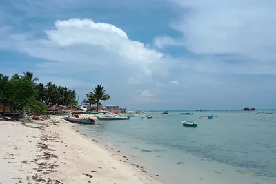 Bishop urges pullout of private guards from southern Palawan islet