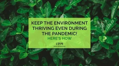Keep the Environment Thriving even during the Pandemic! Here’s How