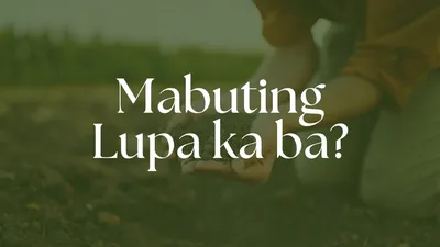 Anong Klase ng Lupa ang Puso Mo?