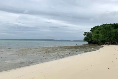 Bishop hits ‘harassment’ of Palawan islanders over resort dispute