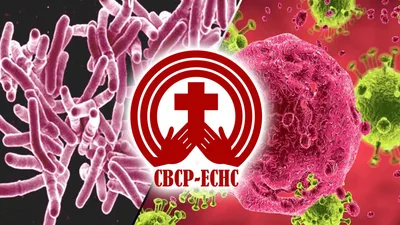 Pakikipagtulungan sa pamahalaan, pina-igting ng cbcp-echc