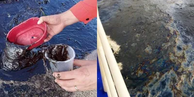 Karagatan ng Mindoro, isang taon bago malinis sa oil spill