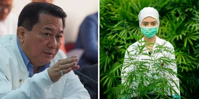 Decriminalization of Marijuana, iginigiit sa Mababang Kapulungan ng Kongreso