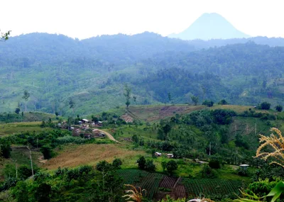 Anti-mining group dismayed over court decision on levy on mining firm