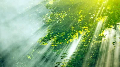 The Holy Spirit will enlighten us to see a merciful God in our lives