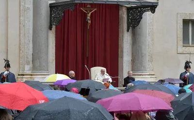 Pope Francis: Subsidiarity means everyone has a role in healing society