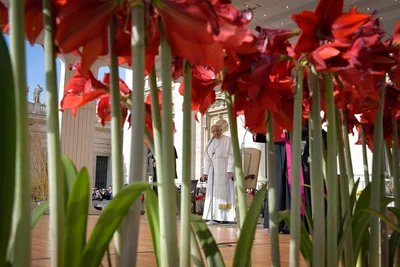 Praising God for gift of creation leads to respect for it, pope says
