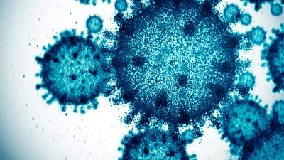 COVID-19 virus, hindi nawala sa Pilipinas - VeritasPH