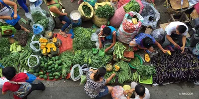 “Nutrition is a social investment”