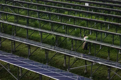 Philippine group slams fossil fuel reliance, calls Congress to act on structural reform in energy sector