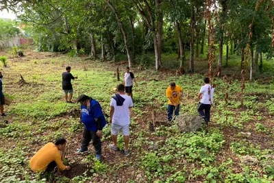 Bohol diocese plants 60k trees in single day