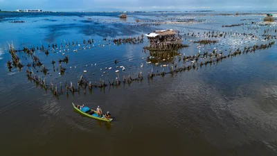 Fuel crisis pushes fisherfolk deeper into uncertainty, groups press for state support