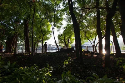 Covid-19 calls for ‘ecological conversion’, says Caritas PH