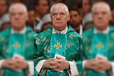 Cardinal: No one has right to demand a pope’s resignation