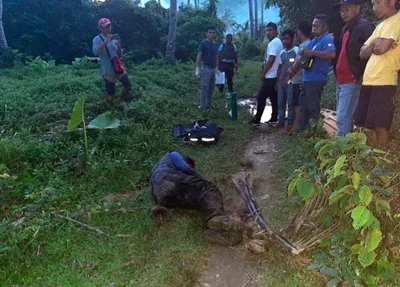 Palawan prelate decries killing of forest ranger