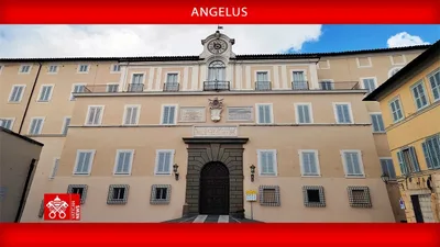 Pope at Angelus: God’s Kingdom grows quietly through love, not force