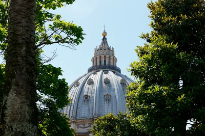 Canon lawyers explain how Vatican abuse trials function