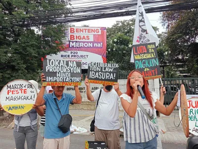 Farmers say import suspension, tariff hike ‘insufficient’ to address rice crisis