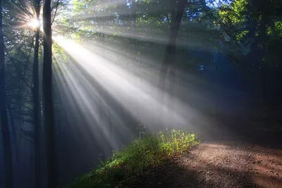 “Rend the heavens and come down”