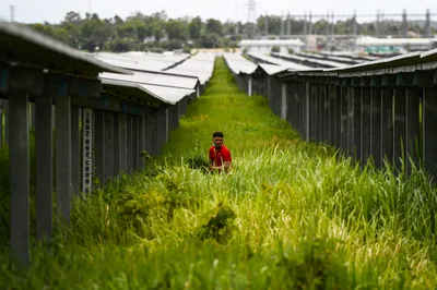 Vietnam’s solar power could cut $600M in imports as global energy prices rise