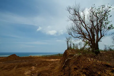 Philippine diocese slams use of law to silence environmental defenders