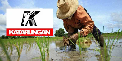Panandaliang tulong sa mga magsasaka, hindi sapat para umunlad ang sektor ng agrikultura