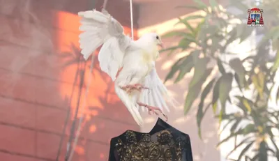 Cardinal David admits harm, halts Malabon Easter rite after dove’s death sparks outrage