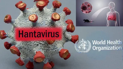 Kaligtasan ng mamamayan laban sa “hantavirus”, panalangin ng simbahan - VeritasPH