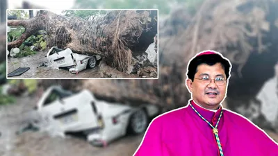 Nabagsakan ng century old acacia tree sa Taytay, tutulungan ng Diocese of Antipolo