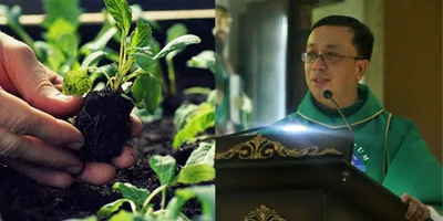 Urban gardening, isinusulong ng Camillian Fathers