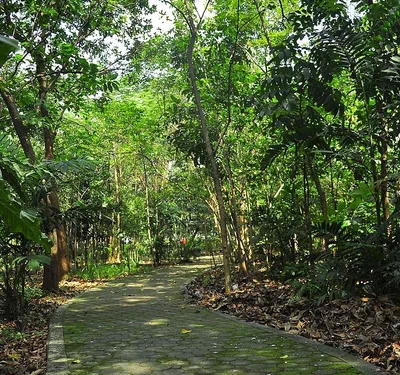 ‘Nature rights’ campaign launched in ‘Last Lung of Manila’