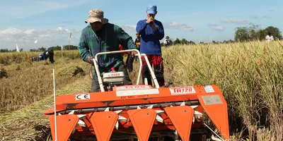 Mga obispo, nanawagan sa pamahalaan na tulungan ang sektor ng agrikultura