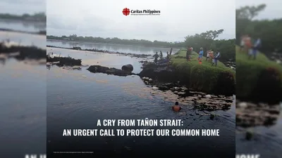 Panagutin ang responsable sa pagkasira ng coral reefs sa Tañon Strait Protected Seascape Philippines - VeritasPH