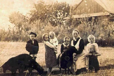 Polish Catholic family, killed by Nazis for helping Jews, on path to beatification