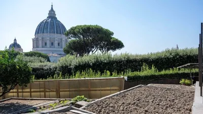 The Pope’s garden in the Vatican Gardens becomes 100% organic