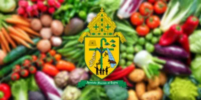 Organic vegetable, isinusulong ng Apostolic Vicariate of Taytay Palawan
